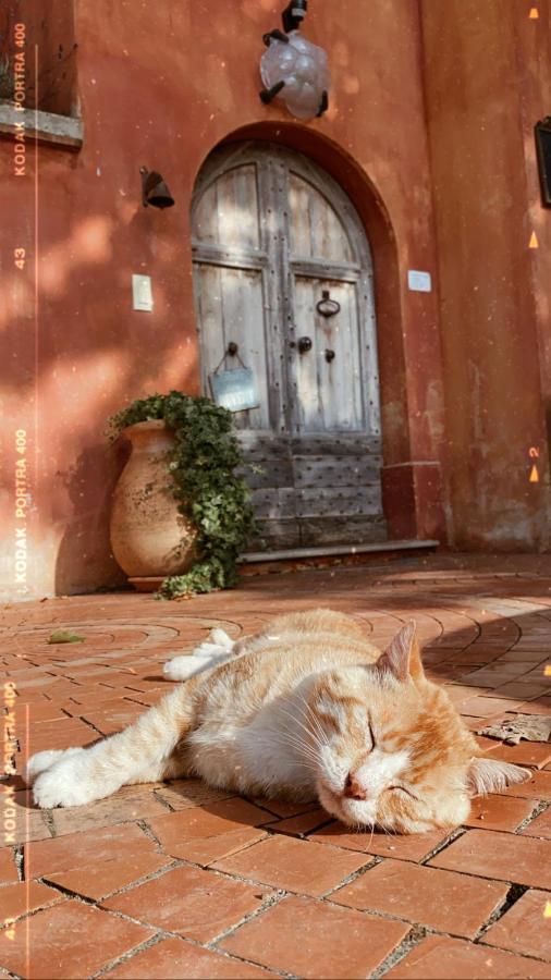 Domaine De Sainte Annette Bed & Breakfast Callian  Ngoại thất bức ảnh